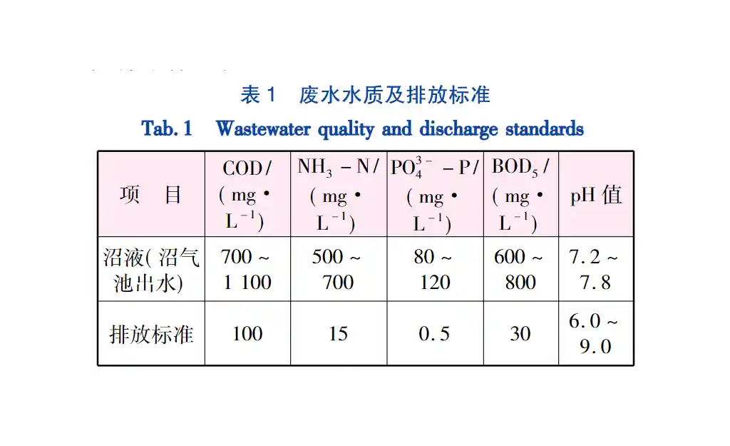 猪场沼液污泥压滤机沉淀处理-板框厢式隔膜压滤机