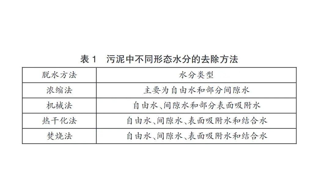 城市污水污泥的深度脱水技术-板框厢式隔膜压滤机